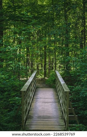 Cuyahoga Valley National Park Wood Walkway Bridge With Beautiful Sunlight Rays In A Dark Shadow Akron Ohio Forest, Vertical Royalty-Free Stock Photo #2268539769
