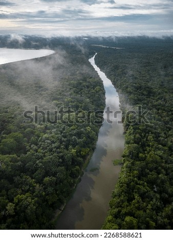 Beautiful aerial drone view to large rivers and green rainforest
