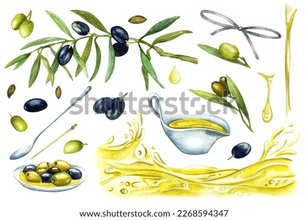 Set of olive oil, watercolor hand drawn, isolated elements provence italy greece food kitchen cooking for restaurant menu, product packaging, textiles, towel.