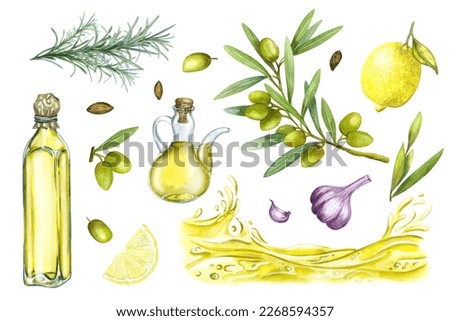 Set of olive oil, watercolor hand drawn, isolated elements provence italy greece food kitchen cooking for restaurant menu, product packaging, textiles, towel.