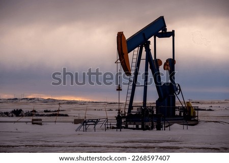 Pump jacks drawing crude oil from deep under ground
