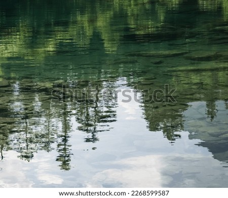 Reflection in the mountain lake of coniferous forest and mountain landscape, clear mountain lake as a mirror Royalty-Free Stock Photo #2268599587