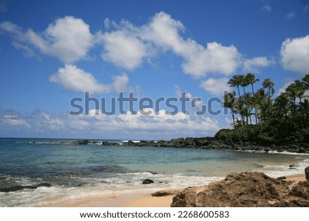 Ocean Beach Sea Turtle Clouds