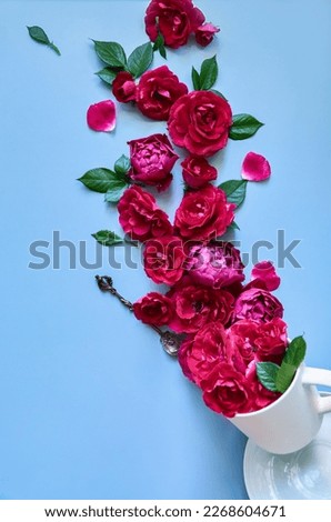 Red blooming flowers peonies and green leaves petals in cup on floral blue background. Blossom composition decoration creative art floristic flatlay decoration. Top view above, flat lay. Vertical