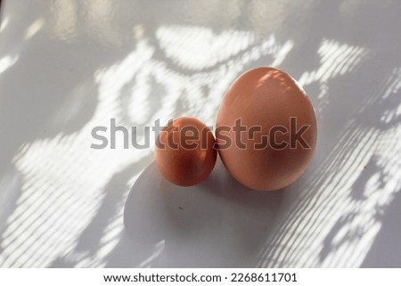 Two orphaned eggs of different sizes, isolated on a white background.