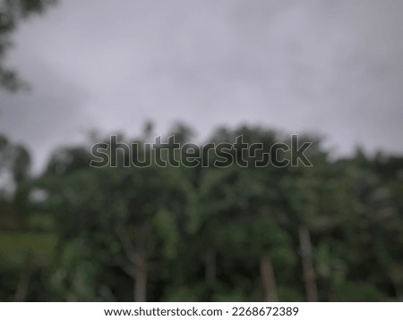 Defocused abstract background of trees