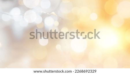 Image of light spots and branch over blurred background. Abstract background and pattern concept digitally generated image.