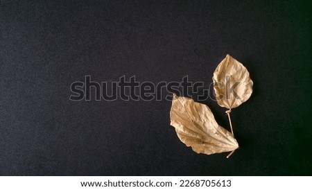 Art deco with brown dried leaf in black background. 