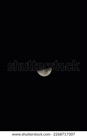 selective focus picture of half moon