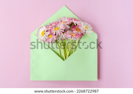 envelope with flowers, bouquet of daisies on pink background. flower arrangement, creative layout. spring concept. Flat lay, top view.