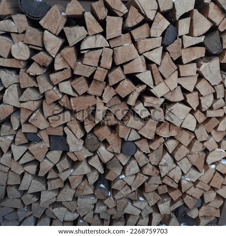 Neatly stacked firewood for the fireplace.