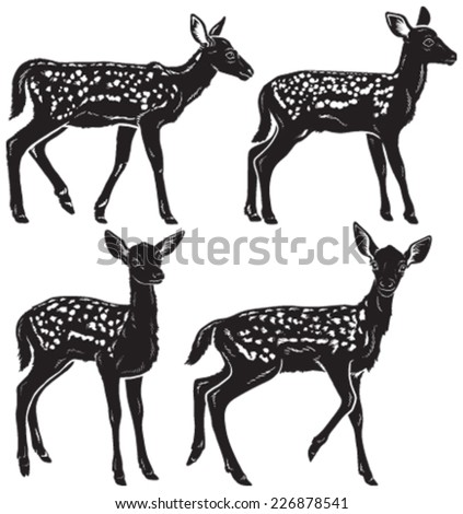 Quality set of four young deer fawns illustrated in black and white. Vector images. 