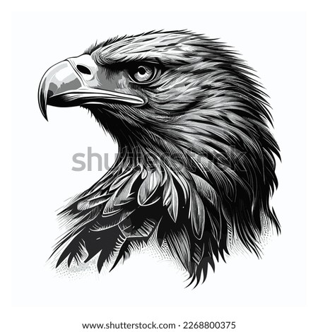 black and white eagle head ink pen vector Illustration Royalty-Free Stock Photo #2268800375