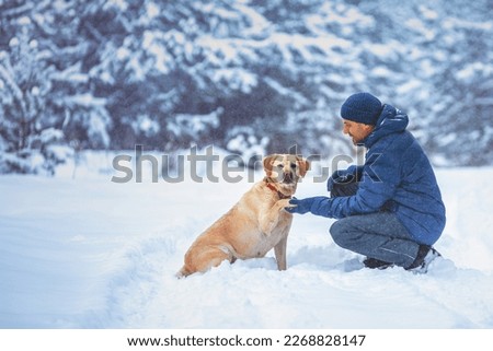A human and a dog are best friends. The  man with the dog sitting in a snowy field in winter. Trained  labrador retriever extends the paw to the man.  #UniqueSSelf Royalty-Free Stock Photo #2268828147