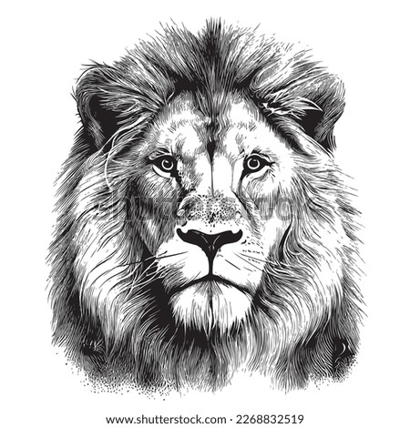 Lion face sketch hand drawn in doodle style illustration Royalty-Free Stock Photo #2268832519
