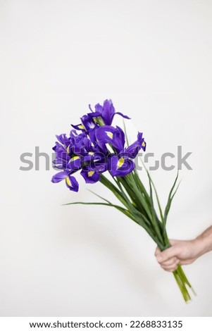 Mans hand holds a bouquet of blue purple irises on a light gray background. Concept: mockup, copy space, birthday, March 8, womens day, love, congratulations, mom