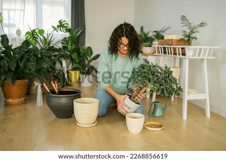 Spring hobby happy young woman transplanting in flower pot houseplant with dirt or soil at home. Gardening plant and green tropical concept