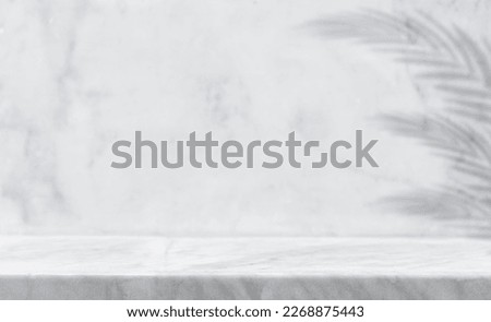 Empty Grey marble stone Floor and wall room nature Granite texture Background with shadow leaves, well Display product and text present on free space, Luxury Backdrop