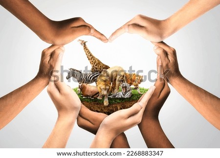 Wildlife Conservation Day. wildlife protection, multiracial human come to build hands in shape of heart to protect the environment. promote conservation wildlife. white background Sun light. Ecology.