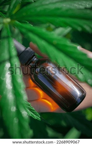 Vertical shot of bottle with dropper surrounded by green leaves of medicinal cannabis, CBD. Macro