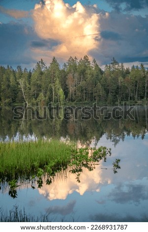 A forest that stands by the water and reflects itself in the water