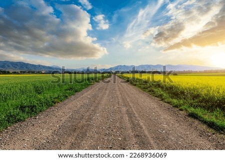 Straight country road and green farmland natural scenery at sunrise in Xinjiang, China. Royalty-Free Stock Photo #2268936069