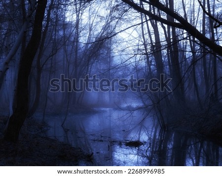 Scary dark forest in the evening. Gloomy autumn woods in blue tones. Dangerous place. Mysterious forest with fog.