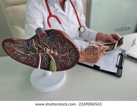 Ultrasound diagnosis of stomach and liver on abdominal cavity of in clinic. Ultrasound of liver and gallbladder cirrhosis of the liver symptoms and treatment Royalty-Free Stock Photo #2269006563