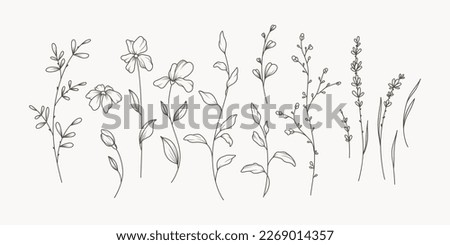 Hand drawn thin floral botanical line art. Trendy minimal elements of wild and garden plants, branches, leaves, flowers, herbs. Vector illustration for logo or tattoo, invitation save the date card Royalty-Free Stock Photo #2269014357