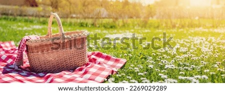 Checkered picnic duvet with empty basket on the blossoming meadow. Royalty-Free Stock Photo #2269029289