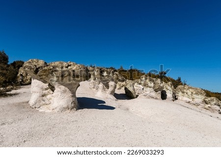 The Natural Phenomenon Stone Mushrooms. The mushroom-shaped rock formations are sculpted in rhyolite volcanic tuffs.