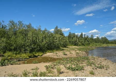 Komi virgin forests. UNESCO world heritage site, Yugyd VA national Park, Shchugor river.