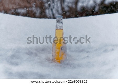 close-up of beer bottle in the fresh snow.