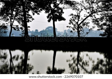 Picture of the trees on the banks of the Lake reflecting beautifully in the water