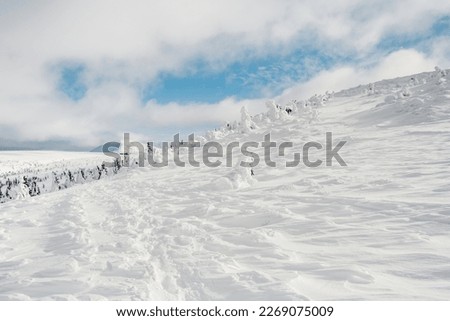 Alpine mountains landscape with white snow and blue sky. Sunset winter in nature. Frosty trees under warm sunlight.  Krkonose Mountains National Park, Czech Republic ,Lucni bouda