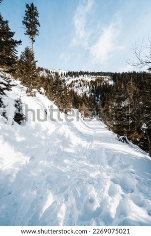 Alpine mountains landscape with white snow and blue sky. Sunset winter in nature. Frosty trees under warm sunlight.  Krkonose Mountains National Park, Czech Republic ,Lucni bouda