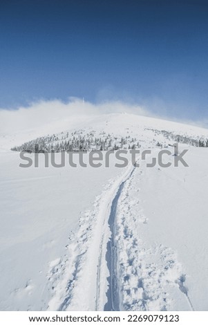 Alpine mountains landscape with white snow and blue sky. Sunset winter in nature. Frosty trees under warm sunlight.  Hiking winter to kralova hola, low tatras slovakia landscape