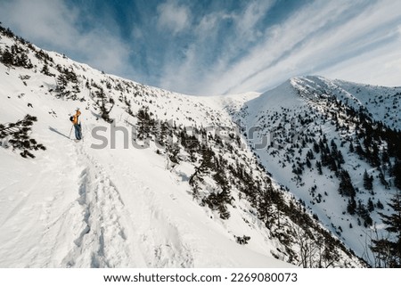 Mountaineer backcountry ski walking ski alpinist in the mountains. Ski touring in alpine landscape with snowy trees. Adventure winter sport.  Krkonose Mountains National Park, Czech Republic