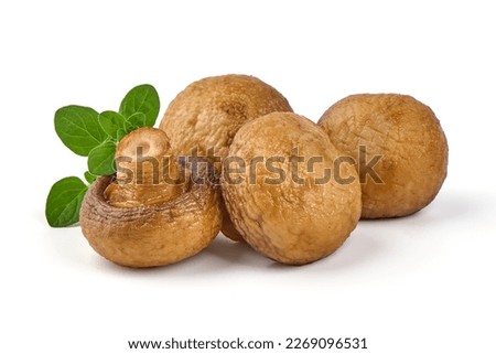 Homemade Deep Fried Mushrooms, isolated on white background