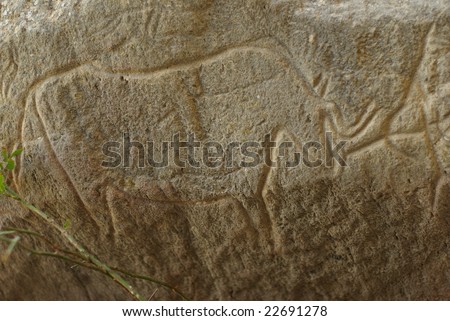 Carvings dating back 10 000 BC in Gobustan,Azerbaijan