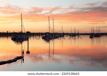 Silhouette of great blue heron perched in marina during a beautiful sunrise, with rows of sailboats anchored in the background, St. Augustine, Florida
