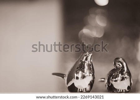 Two birds background with bokeh lights. Valentine's day. Black and white tone. Vintage. Home decor.