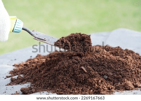 Peat moss, fertilizer soil for organic agriculture, plant growing, ecology concept. Royalty-Free Stock Photo #2269167663