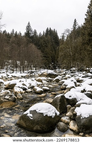 Contrasts with snowfall in Lynn Canyon