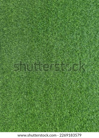 green grass pattern texture background,Green grass background, top view of green grass ,green grass in the garden ,concept of making green backdrop, football field, golf course lawn