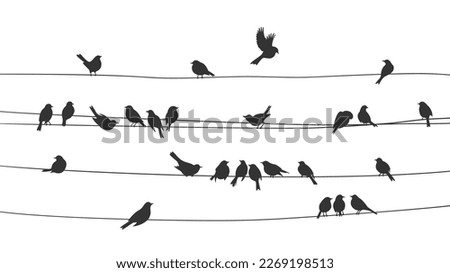 Sparrow and bullfinch birds flock on power line wires, vector silhouette background. Black birds flying and sitting on electric cables of power line in group in row of sparrows and bullfinches