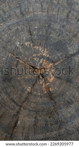 
wood chip block cracks photo