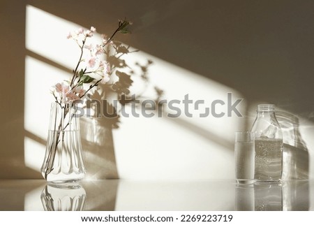 Various objects on a white tile background with warm sunlight shining through
