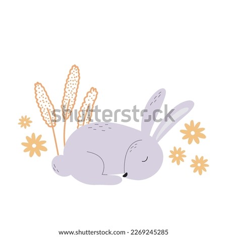 Cute bunny sleeps in herbs and flowers. Rabbit and botanical elements. Baby illustration with hare. Wildlife, flat, vector illustration