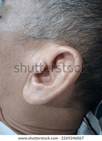 the ears of a normal, healthy adult male. close-up photo